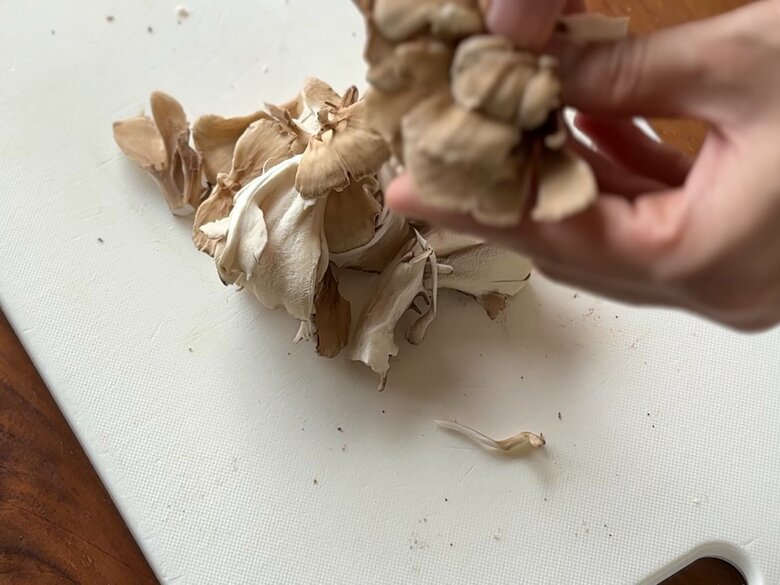 北村さんおすすめの組み合わせは、エリンギ、舞茸、しめじ、しいたけ