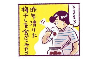 将来の自分を決定づけるほどの衝撃が走る熟成梅のうまみ