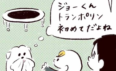 「コロナでおうちにトランポリン導入も…」