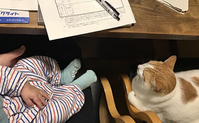 特別養子縁組のための書類作成