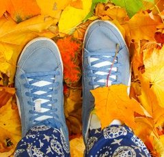 大久保佳代子さんも大満足!?伊豆高原B級グルメトリップ