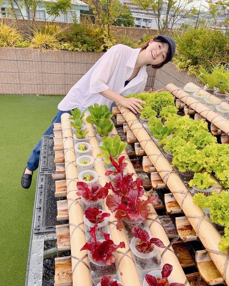 農園で育てているハーブや野菜たち