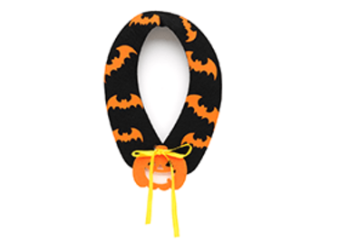 CHANTO11月号 訂正とお詫び