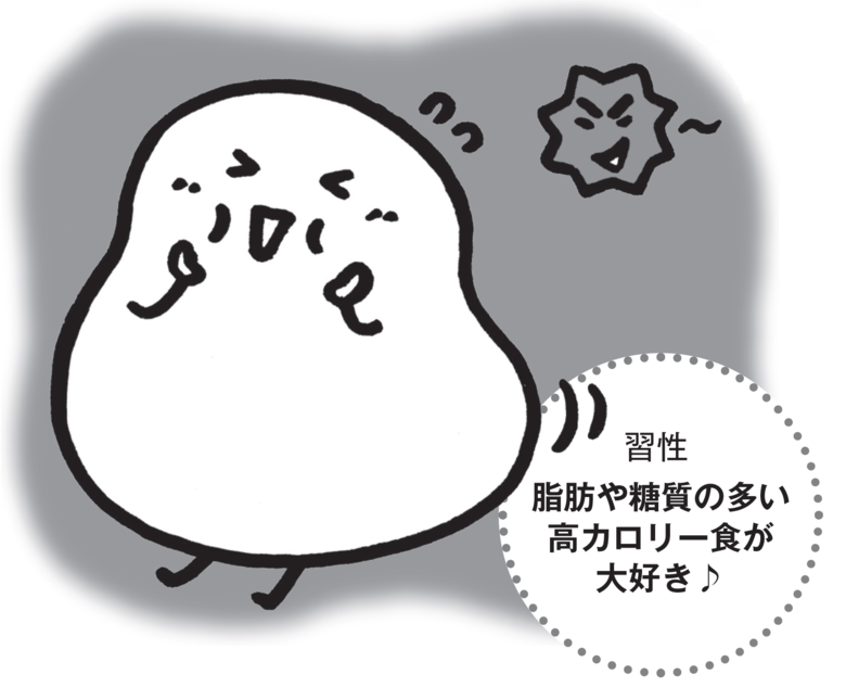 悪玉菌が好きな日和見菌の一種