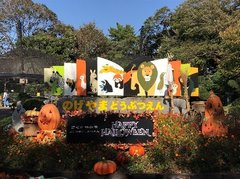 【驚きと発見がいっぱい！動物園の裏側見学ツアーに行ってきました！】