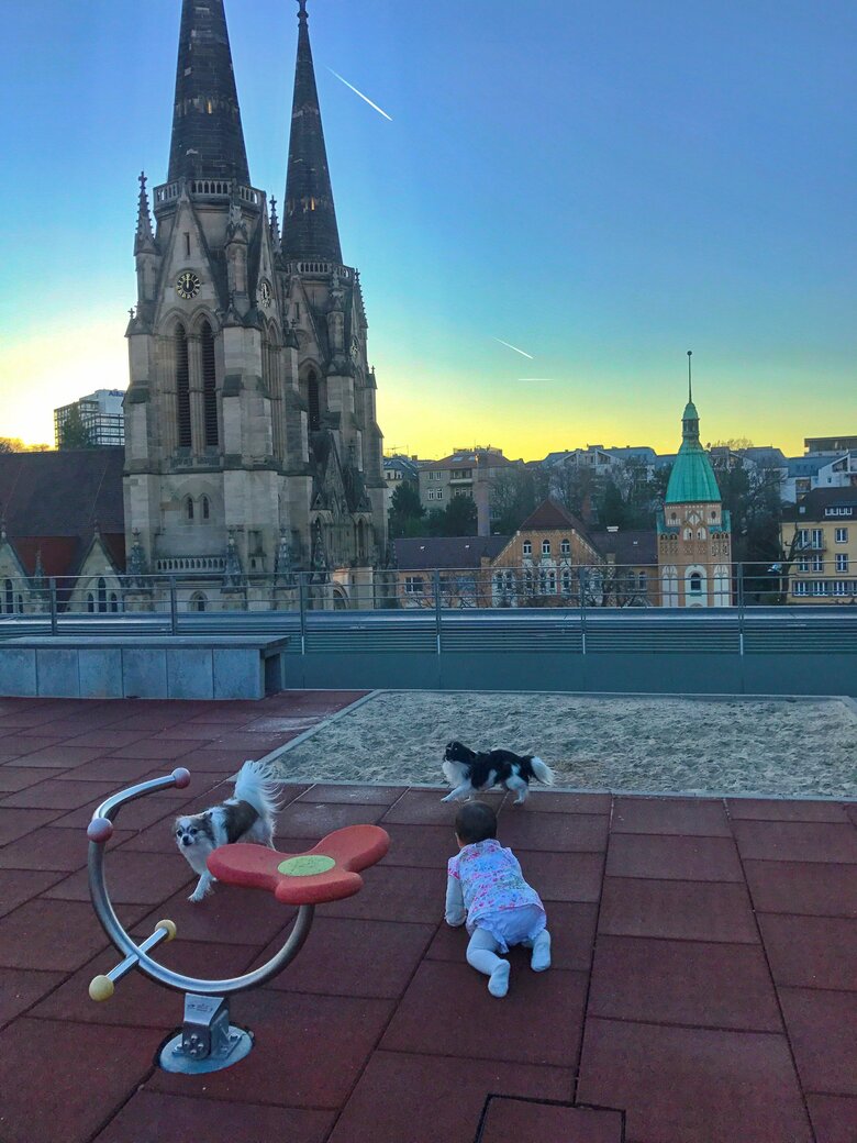 自宅の屋上で愛犬とハイハイをする中村さんの娘。教会が見える光景が美しい！