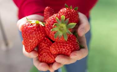 絶対に失敗しない“いちごマフィン”レシピ「これなら私も作れる!!」