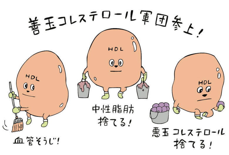 さば缶に含まれる善玉コレステロール