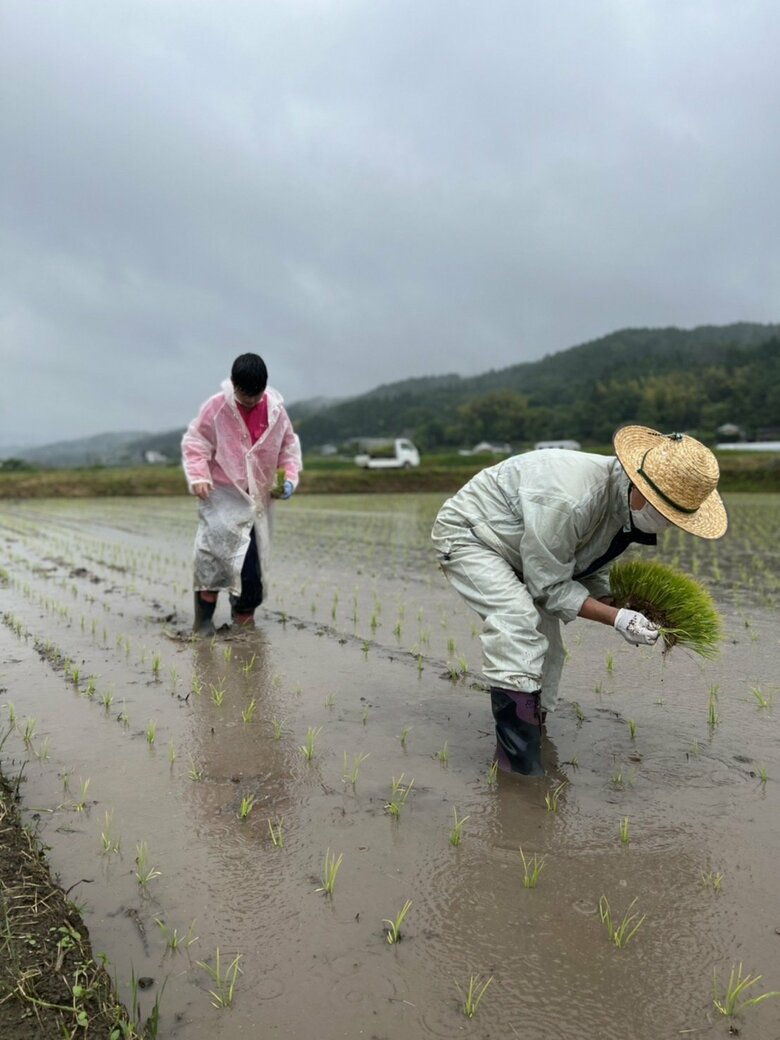 吉本興業の社員食堂でも河本さんの準米が使用されている