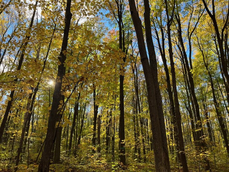 2021年10月　カナダの近所の自然公園にて