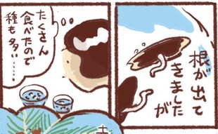 「種は捨てない」ワインが進む果実のおつまみ