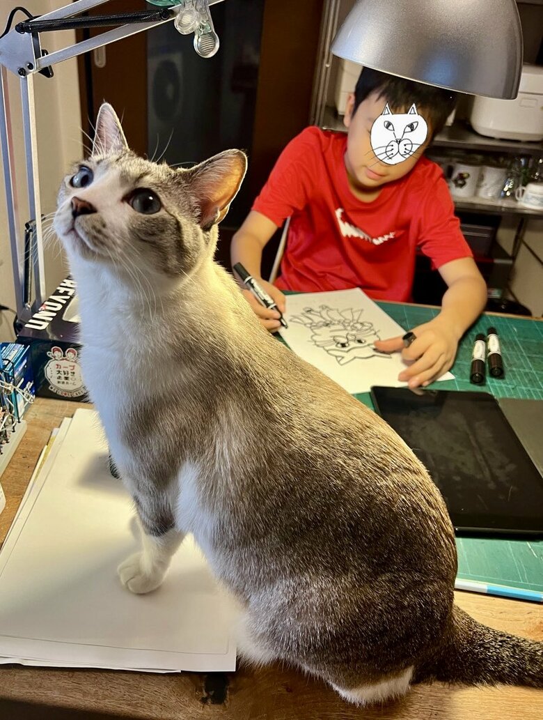 猫に見守られながら創作活動に勤しむKEN君