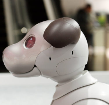 ママの代わりにロボットが“留守番”をする時代!?「aiboのおまわりさん」にネット騒然