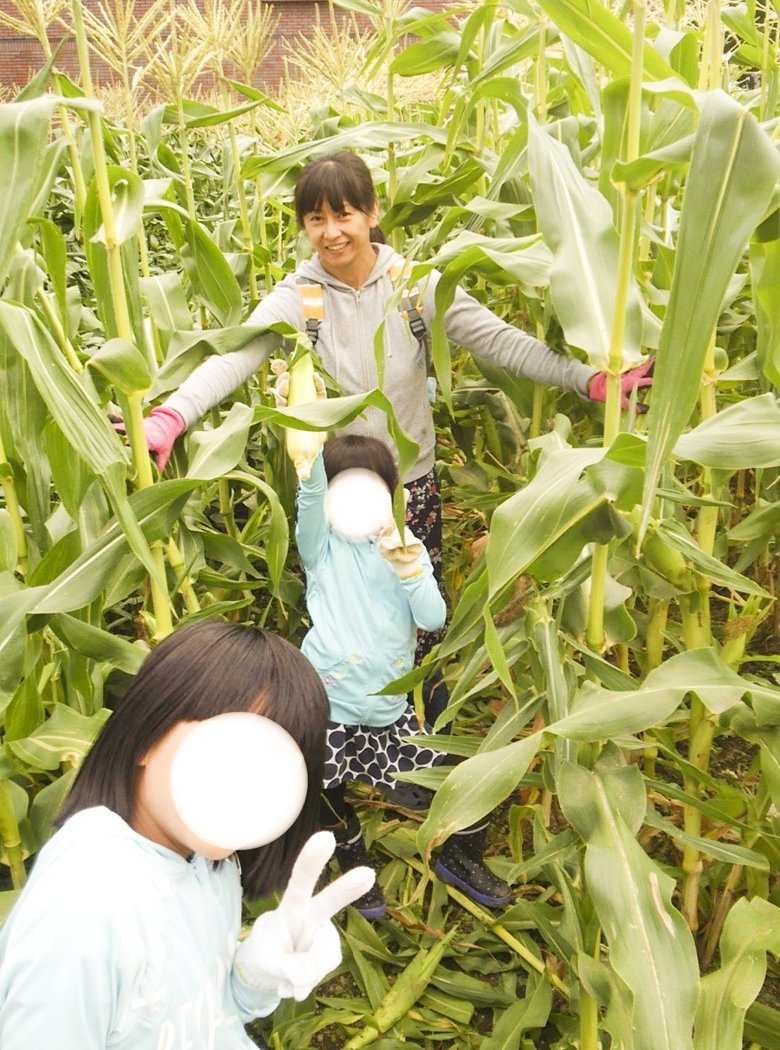 トウモロコシ畑で娘さんたちと千堂あきほさん