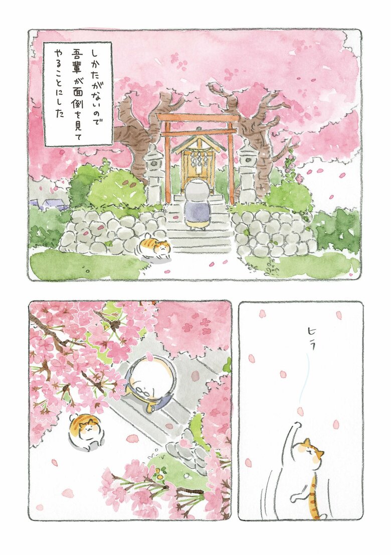 『ねことじいちゃん』1巻2話（KADOKAWA）より (C)ねこまき（7/8）