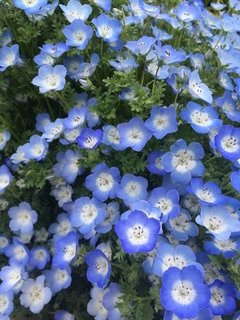 【実録】ママライターのＰＴＡ活動