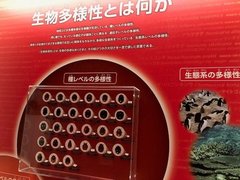 生物多様性が学べる！「国立科学博物館」に行ってみた