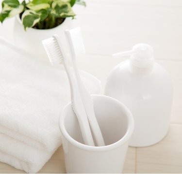 芸能人は歯が命!?1日10回歯を磨く武田真治さんに「うちの子も見習ってほしい」