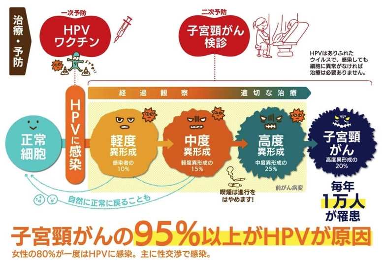 提供：みんパピ！みんなで知ろうHPVプロジェクト