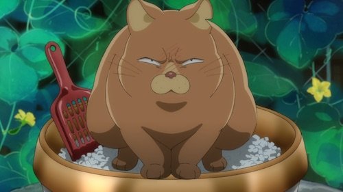 ©イクニラッパー/シリコマンダーズ