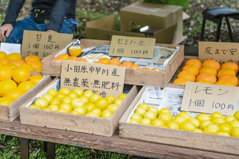 栽培方法にこだわった国産の柑橘類