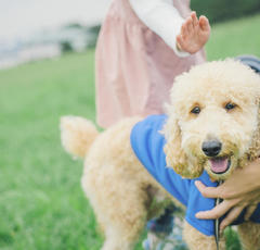 心を養う情操教育で大事なことは!?「逆に神経質になり過ぎて…」