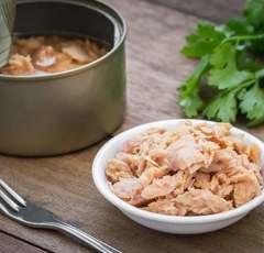 シーチキン兄弟がムダに豪華すぎ！60周年記念CMの本気度