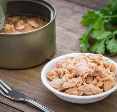 シーチキン兄弟がムダに豪華すぎ！60周年記念CMの本気度