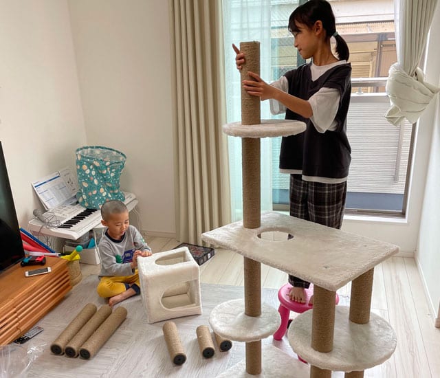 猫が遊ぶキャットタワーを作る子供たち