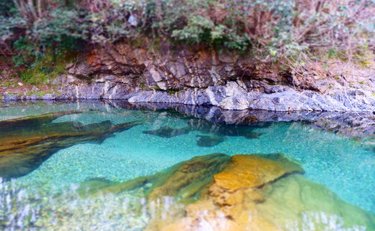 自然豊かな村をフィールドに「うつ病からの再出発」を目指す「ムラカラ」奈良県下北山村での暮らしに迫る