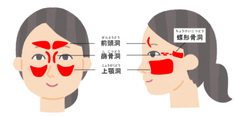 　引用：国立長寿医療研究センター