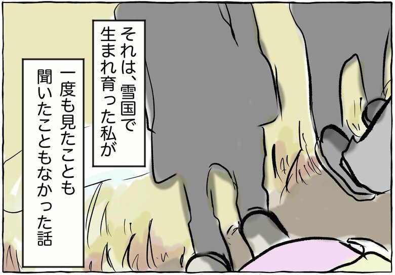 漫画「田舎に来て『何もないね』と言う都会の人に思うこと」P11