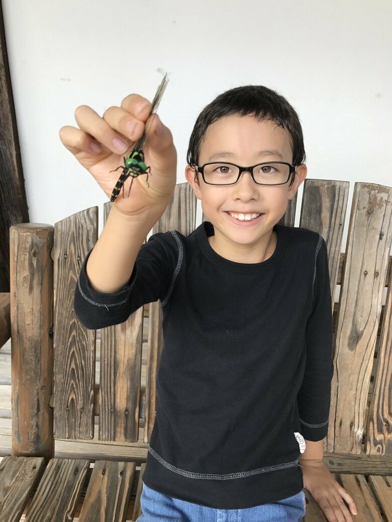 小学2年生の頃、オニヤンマも捕獲！