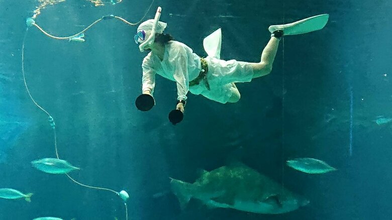 昔の海女の衣装に身を包んで水族館でデモンストレーションしたことも