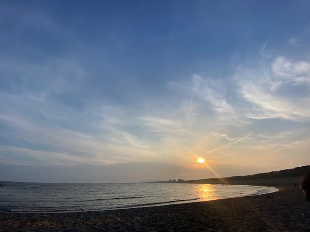 4年前から湘南に移住。子育てにもとてもいい環境