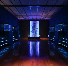 米津玄師による主題歌「海の幽霊」全編アニメのMVがついに解禁「何度も見たくなる！」