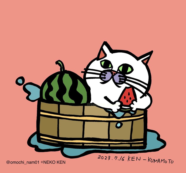 熊本県！！ スイカと一緒に涼むネコさん、すっごく気持ち良さそう…！！（なみそさんのXの投稿より）