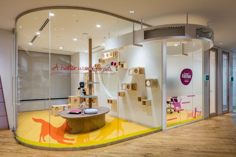 キャットルームの様子