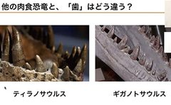 “授業は何でもあり”不登校児支援のオンライン教室が伝えたい「先の人生には面白いことがある」