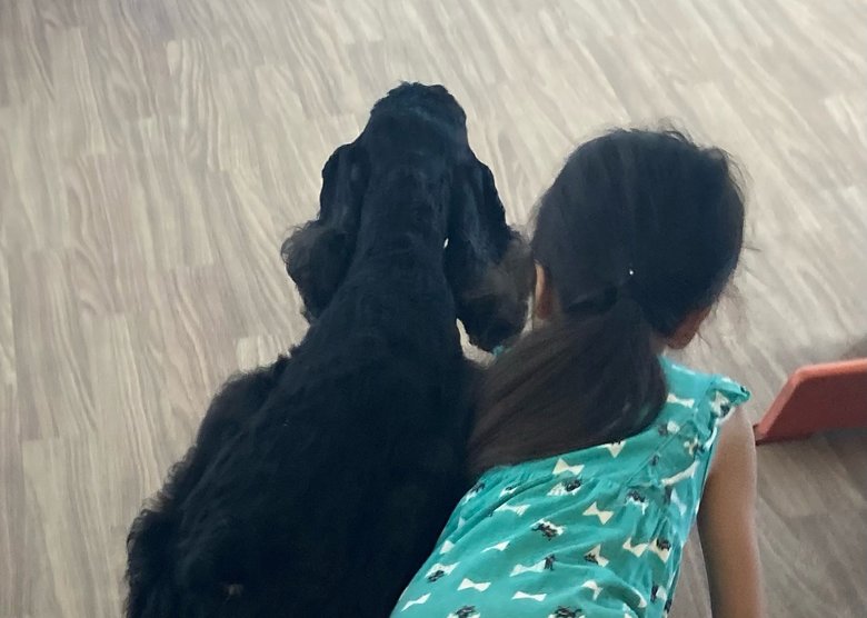 愛犬クーちゃんとおはなちゃんは大の仲良し