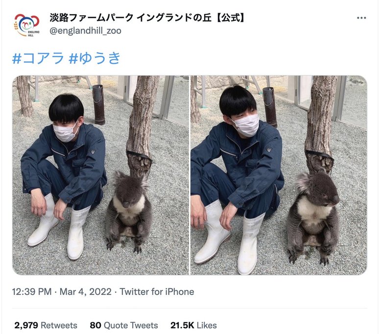 まるで人間！？飼育員とシンクロするゆうきの投稿に2万いいねが！ 