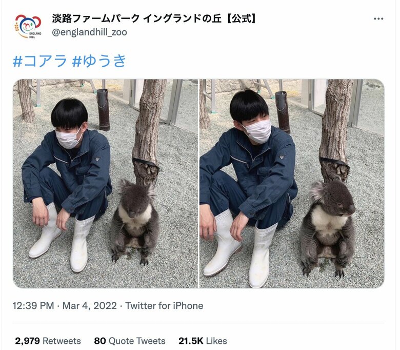 まるで人間!? 飼育員とシンクロするゆうきの投稿に2万いいねが！
