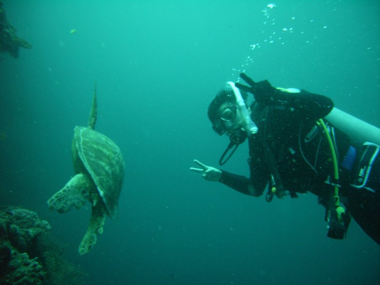 コンサルタント時代はスキューバダイビングにも打ち込んでいた