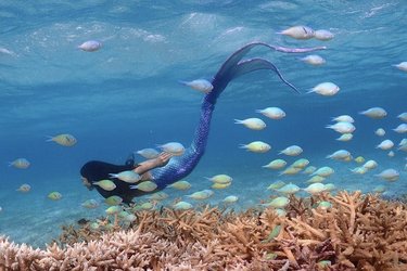 海にマスクが大量上陸？︎マーメイドパフォーマーが訴える「人魚からのお願い‼︎」