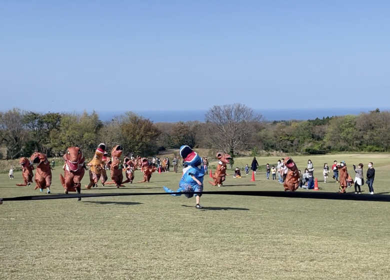 ティラノサウルスレースの模様