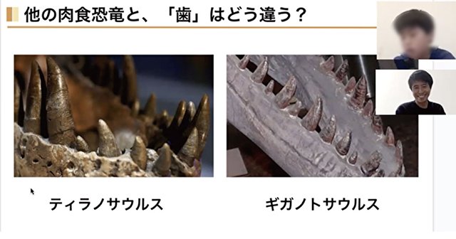恐竜について調べる授業の様子。当時小学3年生の生徒が恐竜クイズを通して、自分の意見を言うことに自信を持てるようになった