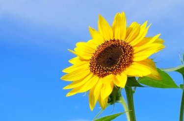 夏休みにおすすめ！こどもと遊べる×学べるスポット【首都圏編】