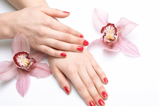 単色セルフジェルネイルの画像