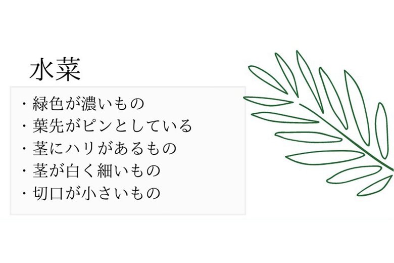 おいしい水菜の見分け方