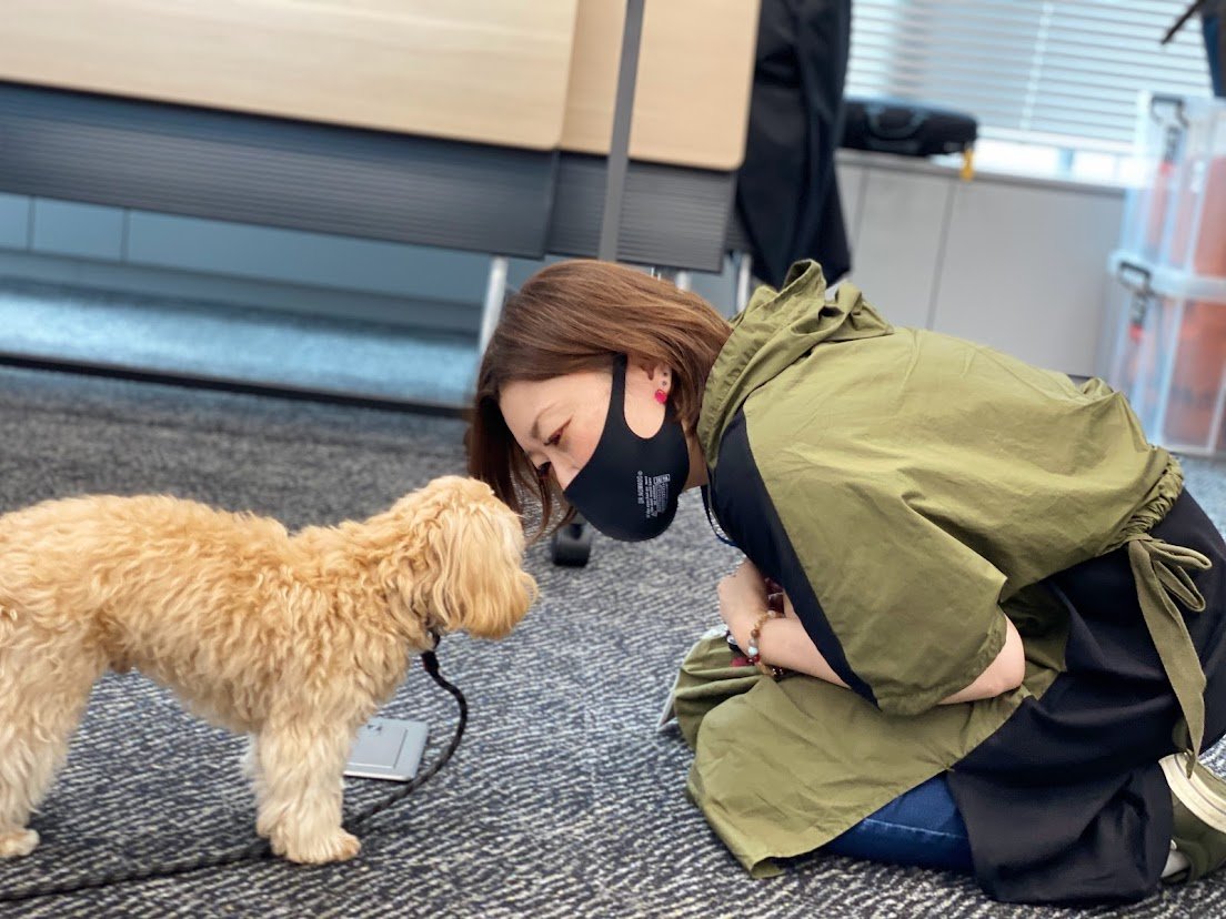 マースジャパンリミテッドの「犬と学ぶトレーニング」の様子
